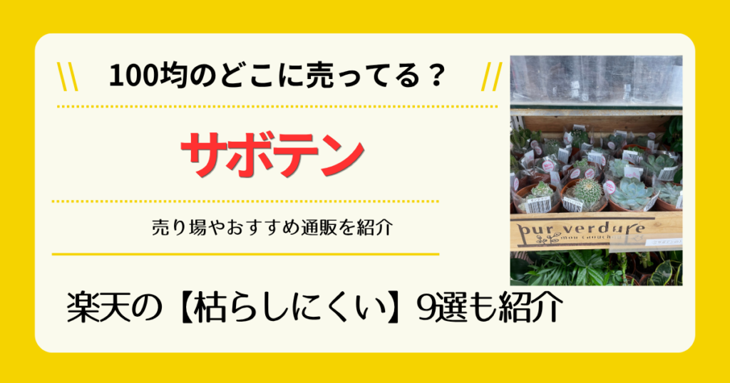 サボテンは100均のどこに売ってる